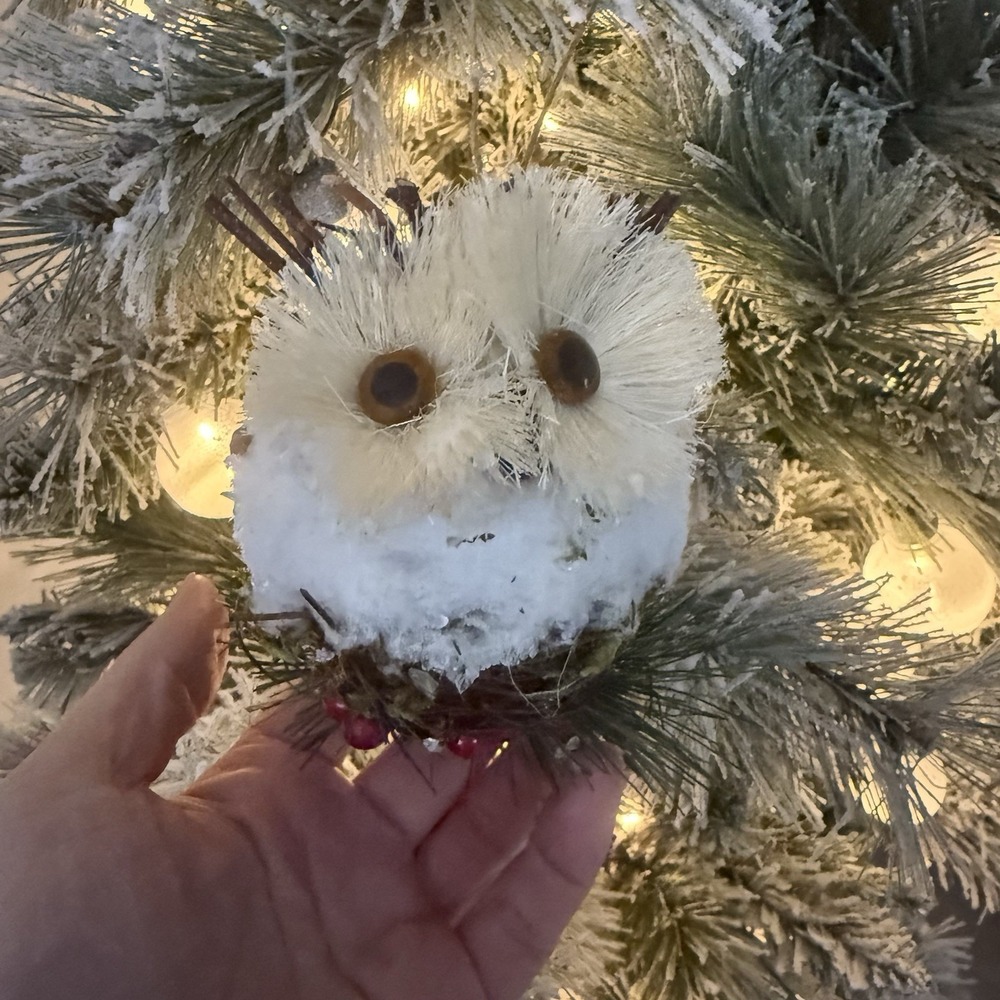 Vintage Pinecone Hoot Owl Ornament Sea grass Branches Berries Nest Cute Woodland